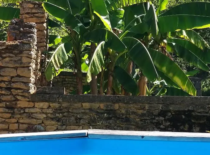 Domaine La Salvagie, D'hotes Avec Spa, Sauna, Piscine, Massages Bed & Breakfast Paulin